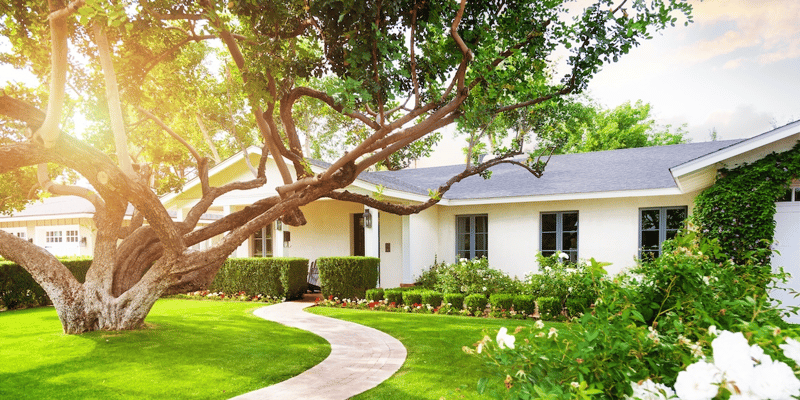 Beautiful home purchased by buying an estate sale house.